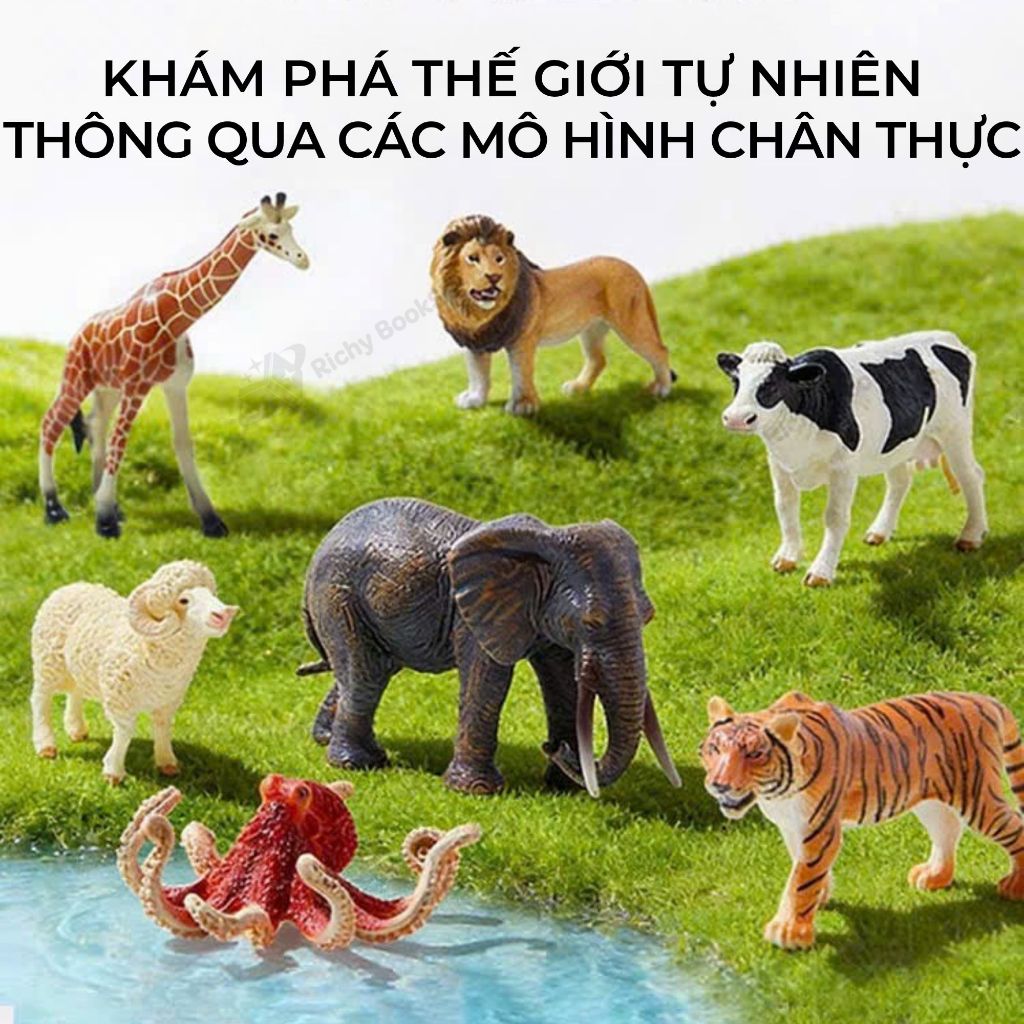 Bộ đồ chơi mô hình 3D các loài động vật cao su cao cấp Mideer Dinosaur - Animal Toys Set có hộp đựng