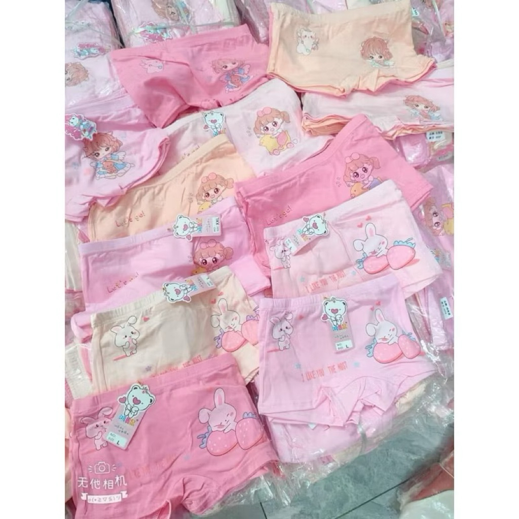 Combo quần chíp cho bé gái, quần lót bé gái size nhí+đại 10-40kg