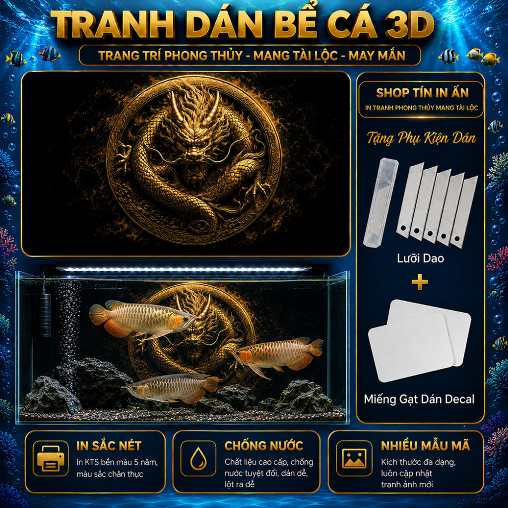 Decal tranh dán hồ cá 3D Kho In Ấn HC56 chống nước, In KTS dán dễ, gỡ dễ, có keo sẵn, nhiều kích cỡ