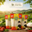 Mỳ Gạo Bao Thai Định Hóa Vinamy 500g - Đặc Sản Thái Nguyên, Sợi Dai Ngon, Không Chất Bảo Quản