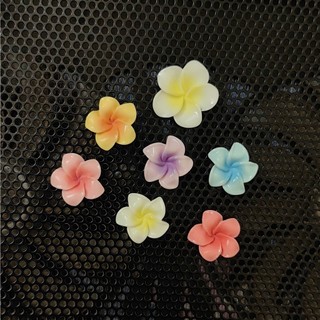 🌺 Set Charm Hoa Sứ Cầu Vồng Pastel – Rainbow Plumeria Flower Charm