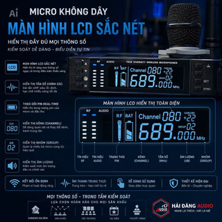Micro Không Dây JBprosound UR-30S - Chống Hú Tốt, Bắt Sóng Xa 100M, Chuyên Dùng Cho Karaoke Gia Đình Hội Nghị Sân Khấu