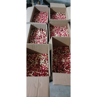 1kg trái siro tươi sống hàng sạch organic trồng hữu cơ