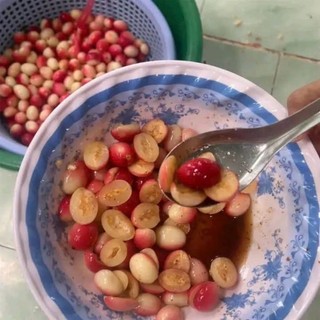 1kg trái siro tươi sống hàng sạch organic trồng hữu cơ