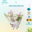 Giấy Bóng Kính Viền Chữ Màu Trắng Dùng Gói Hoa, Giỏ Quà, Bánh Kẹo, Decor, Trang Trí