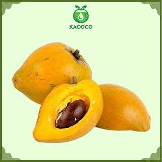 Trái Lê Ki Ma Quả Trứng Gà Miền Tây Kacoco - Ngọt Giàu dinh dưỡng vitamin A, B3, Chất xơ, chống oxy hoá