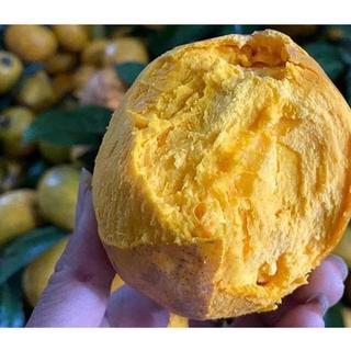 Trái Lê Ki Ma Quả Trứng Gà Miền Tây Kacoco - Ngọt Giàu dinh dưỡng vitamin A, B3, Chất xơ, chống oxy hoá