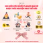 Hộp quà Trang Trí Cây Thông Giáng Xinh