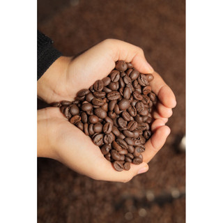 Cà phê Robusta thùng 10kg