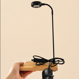 Đèn Terrarium Đèn 3W đế gỗ ĐÈN LED QUANG HỢP có sỉ sll