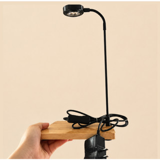 Đèn Terrarium Đèn 3W đế gỗ ĐÈN LED QUANG HỢP có sỉ sll
