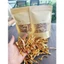 100gr Trần Bì (Vỏ Quýt Thái Sợi) Hương Thơm Đậm, Sấy Khô Tự Nhiên