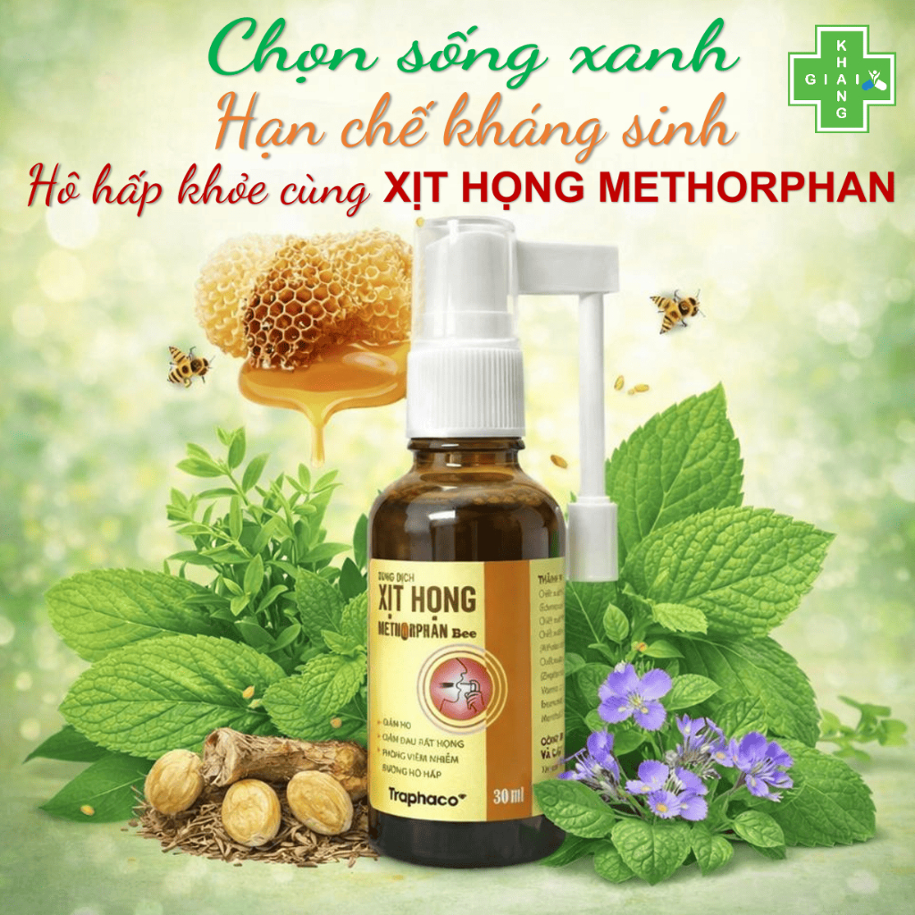 Dung dịch xịt họng keo ong Methorphan Bee giúp giảm viêm họng, rát họng và ho an toàn, hiệu quả cho cả nhà (Chai 30ml)