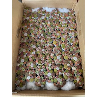 Sen Mông mập/Thạch Lan/Lithops màu đẹp siêu xinh cả chậu size 6-7cm y hình Mầm Nắng Garden lỗi 1 đền 1