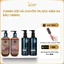 Cặp Gội Xả AILISE - LAMBOR 1000ml Giảm rụng mọc tóc nhanh, Sạch Gàu, Phục Hồi Siêu Mượt