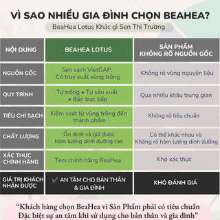 Tinh Bột Củ Sen Chính Hãng BeaHea - Healthy, Ăn Sáng EatClean | Sen Sạch VietGAP Tự Trồng