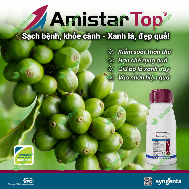 Thuốc trừ bệnh Amistar Top 325SC chính hãng SYNGENTA