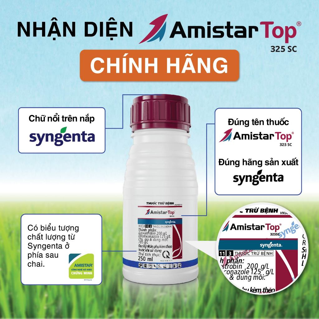 Thuốc trừ bệnh Amistar Top 325SC chính hãng SYNGENTA