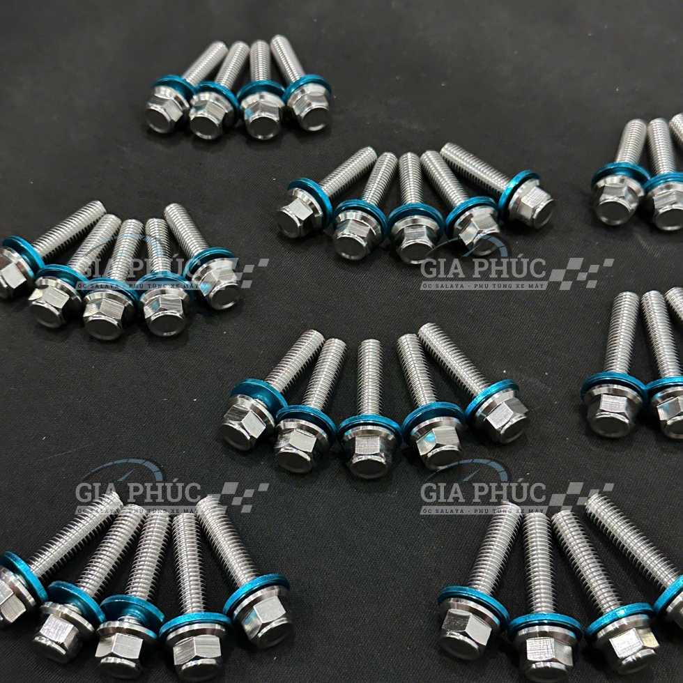 Ốc Salaya 6Ly 8Ly 10Ly (THÁI V3) Inox 304 +Lông Đền Xanh, Chiều Dài Đầy Đủ Các Size (Giá Sỉ 1 Ốc)