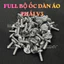Full Bộ Ốc Dàn Áo Salaya [INOX 304] Vision Click Jupiter Xipo AB Wave Mio Satria Sonic Dr Si Fu Vario Ex W