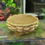 Tượng Đài Sen Mã 72 - Trang Trí Terrarium