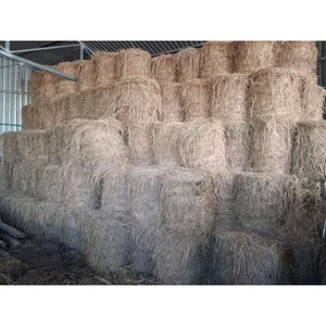 Rơm khô 2kg dùng đất trồng cây