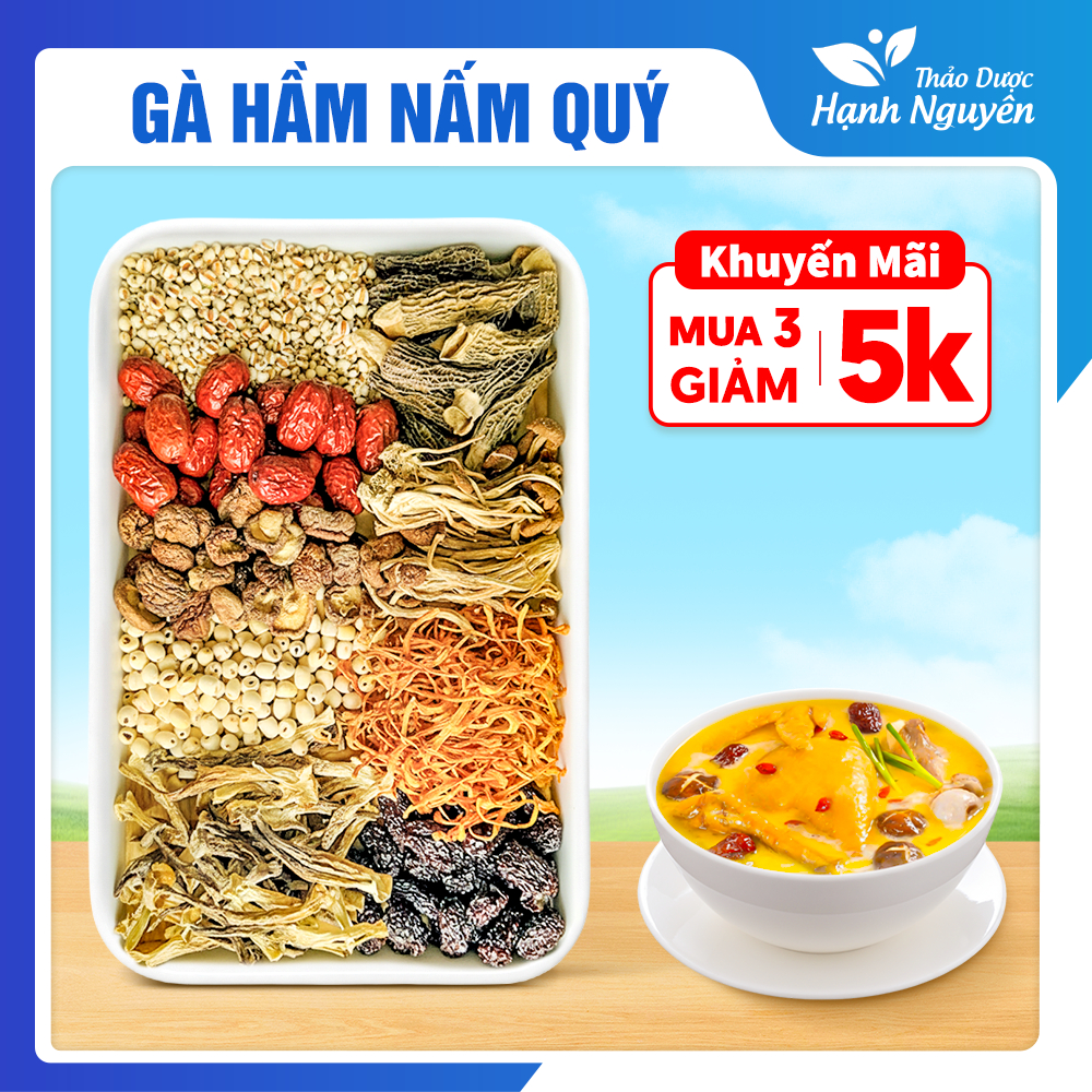 Gà hầm nấm quý, siêu nhiều nấm, set nấm tần gà, hầm gà, chim, nấu canh nấm, lẩu nấm, thơm ngon