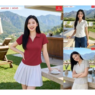 (Sẵn) 6APC13 Áo thun nữ CARDINA chất thun cotton  tay cộc cổ V bẻ nẹp basic dễ mặc 6APC13