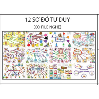 TRANH TƯ DUY MINDMAP TIẾNG ANH CHO BÉ – HỌC TỪ VỰNG SIÊU DỄ NHỚ-Tranh decal trang trí phòng