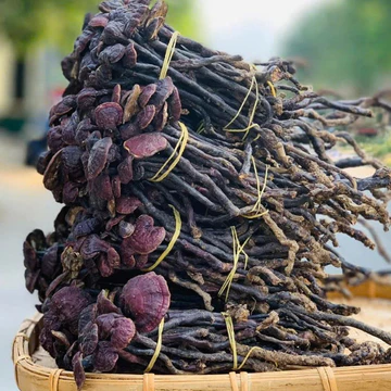 Nấm Linh Chi Cổ Cò Rừng - Hắc Linh Chi Rừng Tự Nhiên 1kg Khô Giải Nhiệt