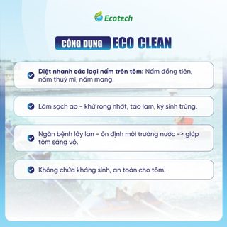 Mua Thùng 12 Chai Eco Clean 500ml - Làm Sạch Ao, Xử Lý Nấm Đồng Tiền, Nấm Thuỷ Mi, Nấm Mang, Khử Rong Nhớt Cho Tôm Cá