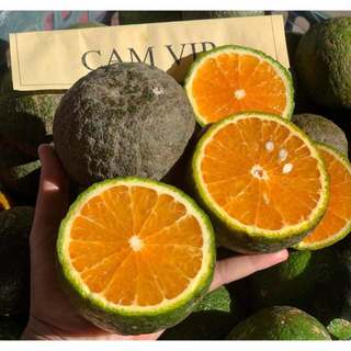 Sỉ 5kg, 10kg Cam Sành miền tây Ngọt, mọng nước Kacoco - Vắt nước ép hoặc ăn trực tiếp đều ngon