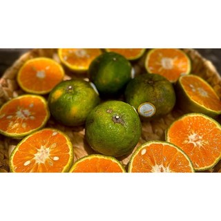 1kg Cam Sành miền tây Ngọt, mọng nước Kacoco - Vắt nước ép hoặc ăn trực tiếp đều ngon