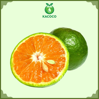 Sỉ 5kg, 10kg Cam Sành miền tây Ngọt, mọng nước Kacoco - Vắt nước ép hoặc ăn trực tiếp đều ngon