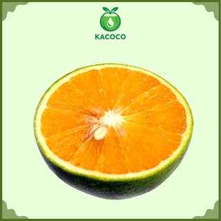 Sỉ 5kg, 10kg Cam Sành miền tây Ngọt, mọng nước Kacoco - Vắt nước ép hoặc ăn trực tiếp đều ngon