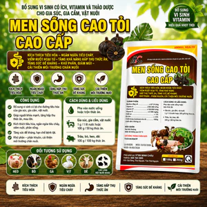Men Cao Tỏi Đen Cao Cấp ( 5 Trong 1 ) 1Kg cho gà, vịt, heo hỗ trợ tiêu hóa, hấp thu tốt, tăng đề khá ng