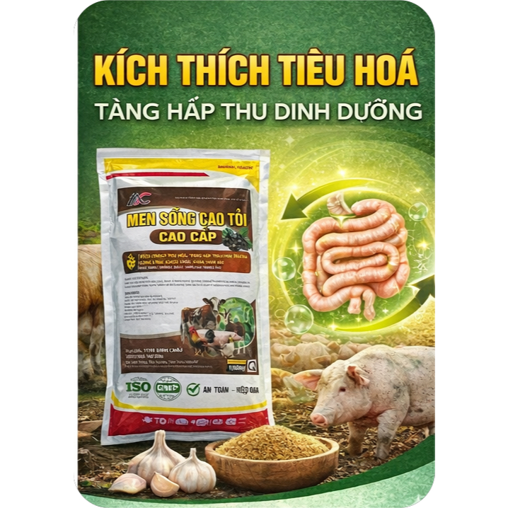 Men Cao Tỏi Đen Cao Cấp ( 5 Trong 1 ) 1Kg  cho gà, vịt, heo hỗ trợ tiêu hóa, hấp thu tốt, tăng đề khá ng