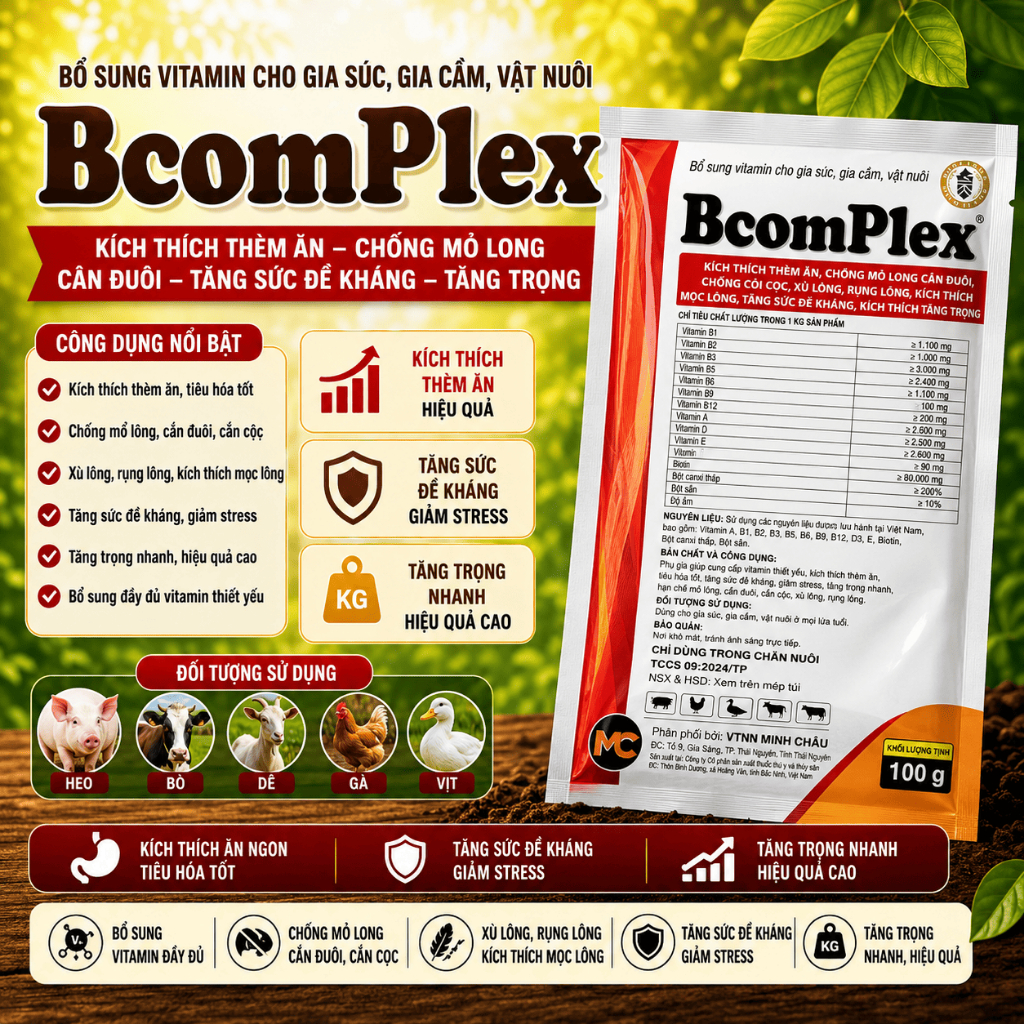 BCOMPLEX – VITAMIN TỔNG HỢP CHO GIA SÚC, GIA CẦM (100 Gram) Chống rụng lông – xù lông – c.ắn đuôi tăng lớn cho vật nuôi