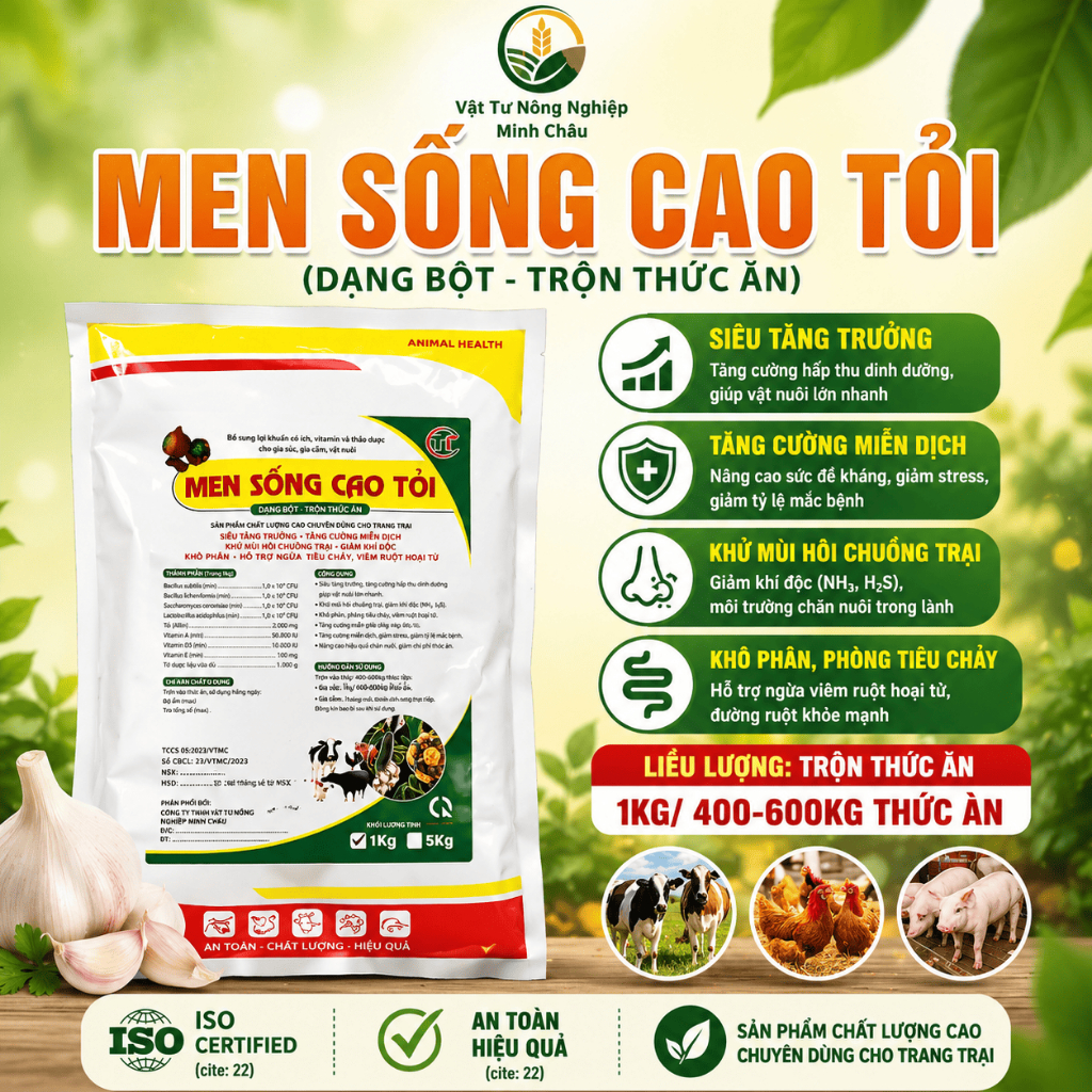 Men cao tỏi cao cấp 1kg trộn thức ăn cho gà, vịt, heo hỗ trợ tiêu hóa, hấp thu tốt, tăng đề khá ng