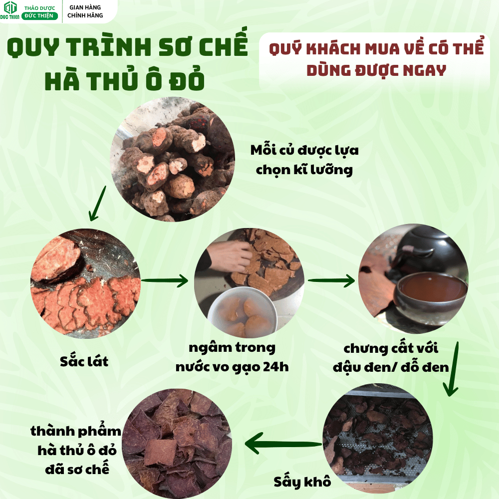 500g, 1kg Hà Thủ Ô Loại 1 Đức Thiện (Khô, Sạch, Thơm) - Giảm Tóc Bạc, Kích Thích Mọc Tóc, Bổ Máu