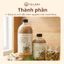 500ml Nước Cốt Gừng Tràm (Không bã) Ngâm Chân, Tắm Bé - Giữ Ấm, Phòng Ho, Lưu Thông Khí Huyết