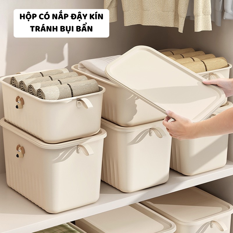 Hộp Đựng Đồ Đa Năng ENODA HOME, Hộp Nhựa Có Nắp Nhiều Kích Thước Decor Sắp Xếp Nhà Cửa Q031
