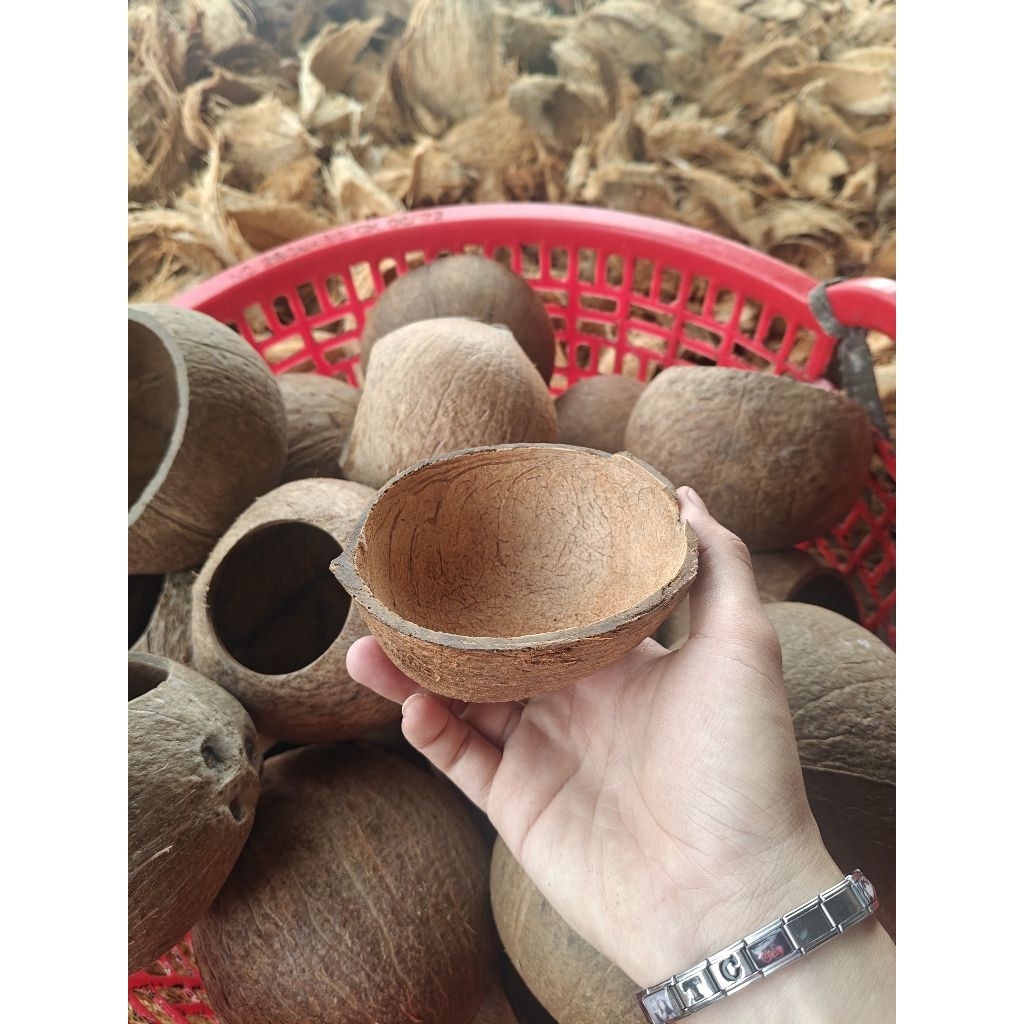 Gáo dừa dùng làm máng ăn cho két, vẹt...ã qua xử lý phần xơ dừa