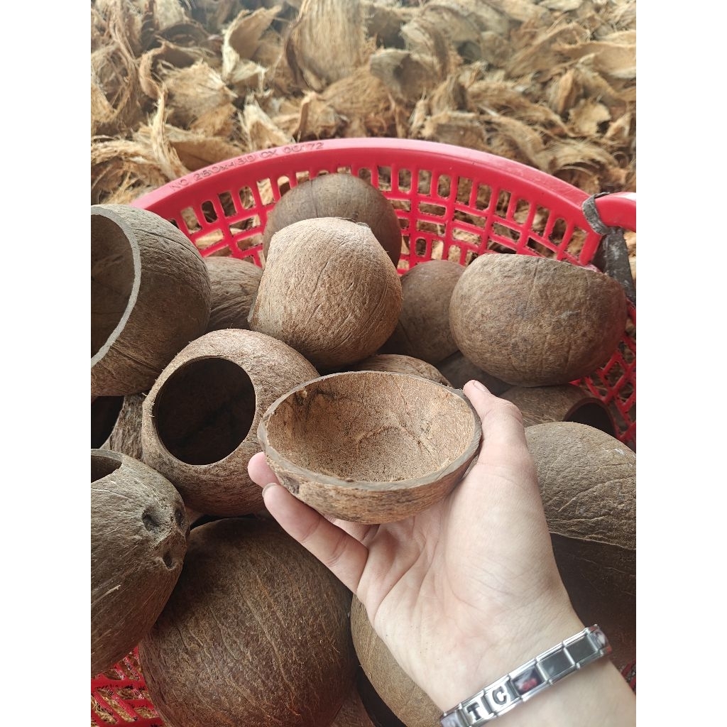 Gáo dừa dùng làm máng ăn cho két, vẹt...ã qua xử lý phần xơ dừa