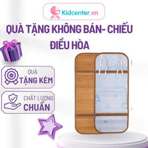Chiếu Trúc Điều Hòa