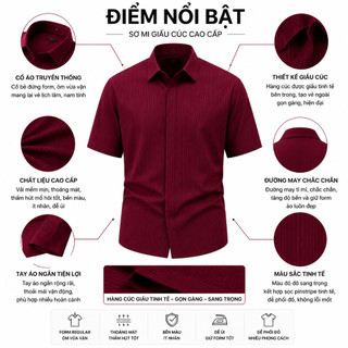 Áo Sơ Mi Tay Ngắn Giấu Cúc Nam Form Gọn Gàng Trẻ Trung Dễ Kết Hợp Trang Phục SM89