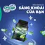 Combo Kẹo Sing-gum Cool Air siêu the Mát Hương Bạc Hà/Nho