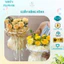 Tệp 3-5 Tờ Bóng Kính Trong Suốt Kích Thước 52x52, Làm Đồ Handmade Dùng Gói Hoa, Trái Cây, Quà Tặng