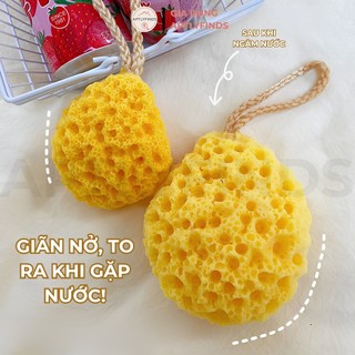 Bông Tắm Tạo Bọt Hình Phô Mai APTLYFINDS Siêu Mềm Mại Đàn Hồi, Dễ Thương