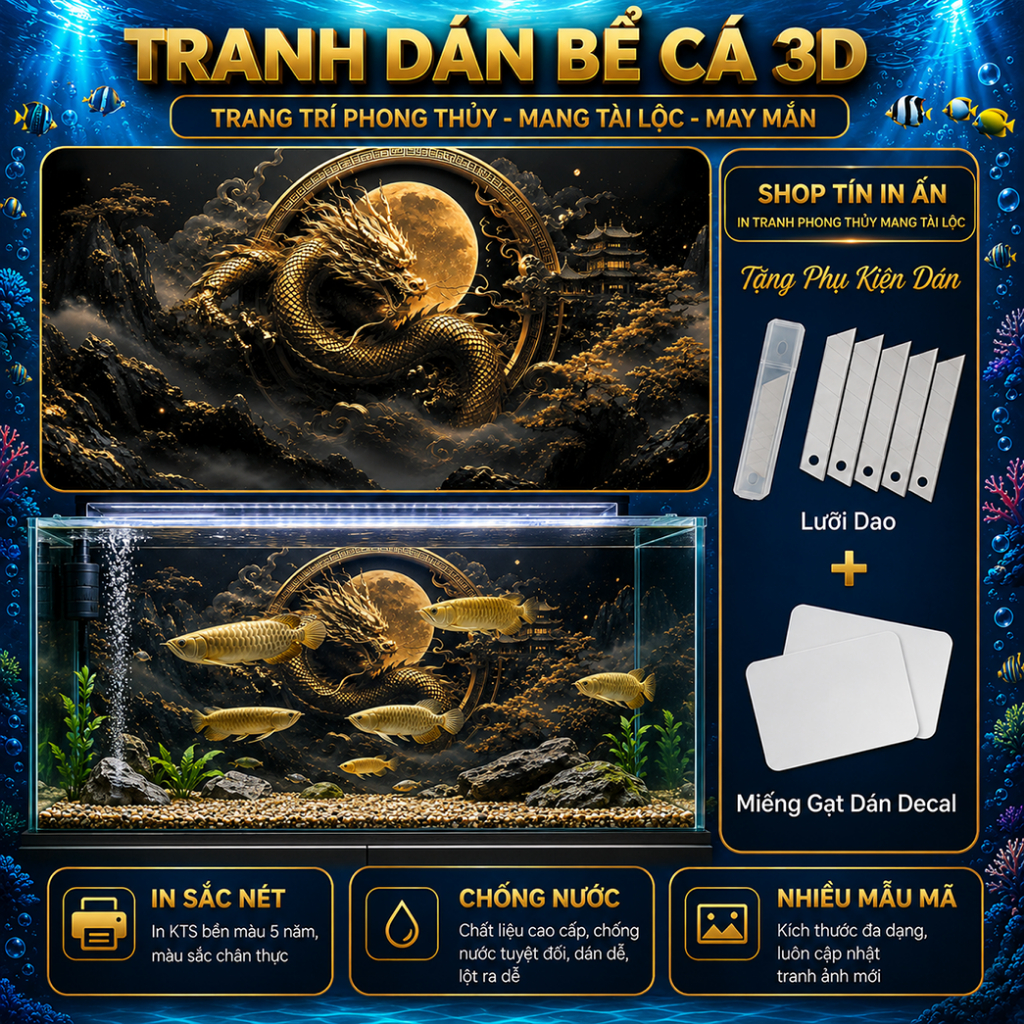 Decal tranh dán hồ cá 3D Kho In Ấn rồng chống nước, In KTS dán dễ, gỡ dễ, có keo sẵn, nhiều kích cỡ